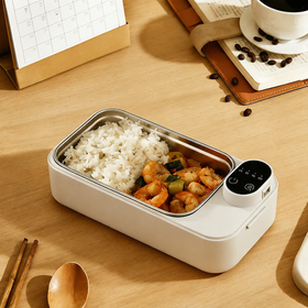 Electric Lunch Box
